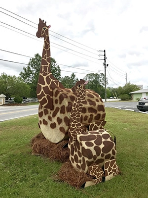 Chiropractic Panama City FL Giraffes